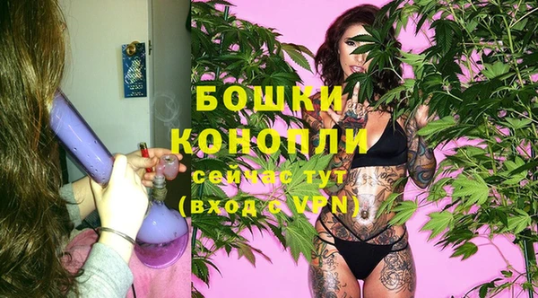 гидропоника Богданович
