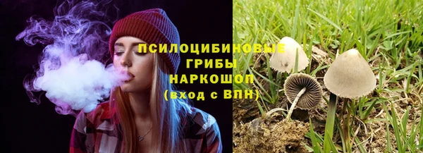 MESCALINE Богородск