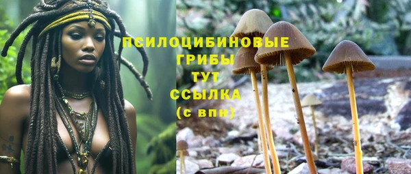 гидропоника Богданович
